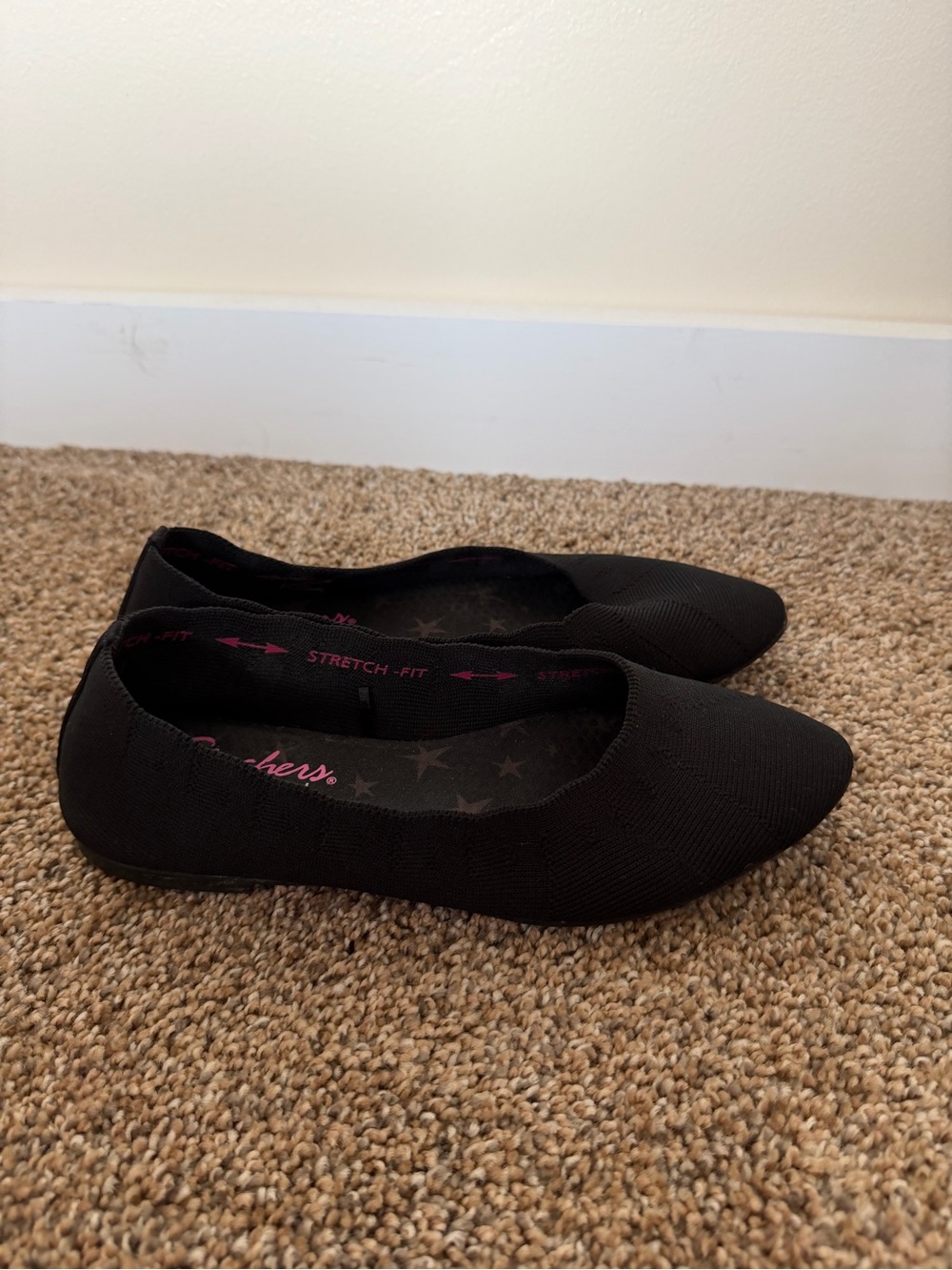 SKETCHERS Cleo Style Ballet Flat in Black
